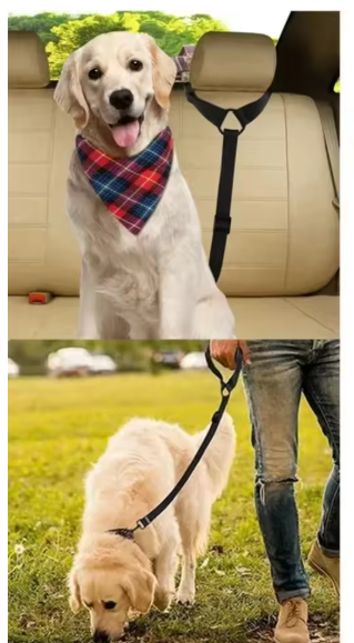 2-in-1 Hunde-Autogurt – verstellbar und reflektierend