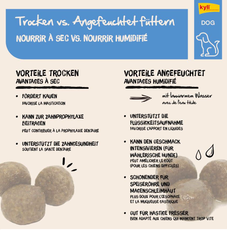 Kyli FreshNature Junior Salmon and Potato, getreidefrei